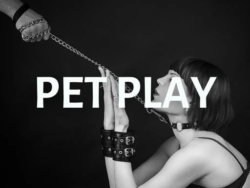 Pet play category label