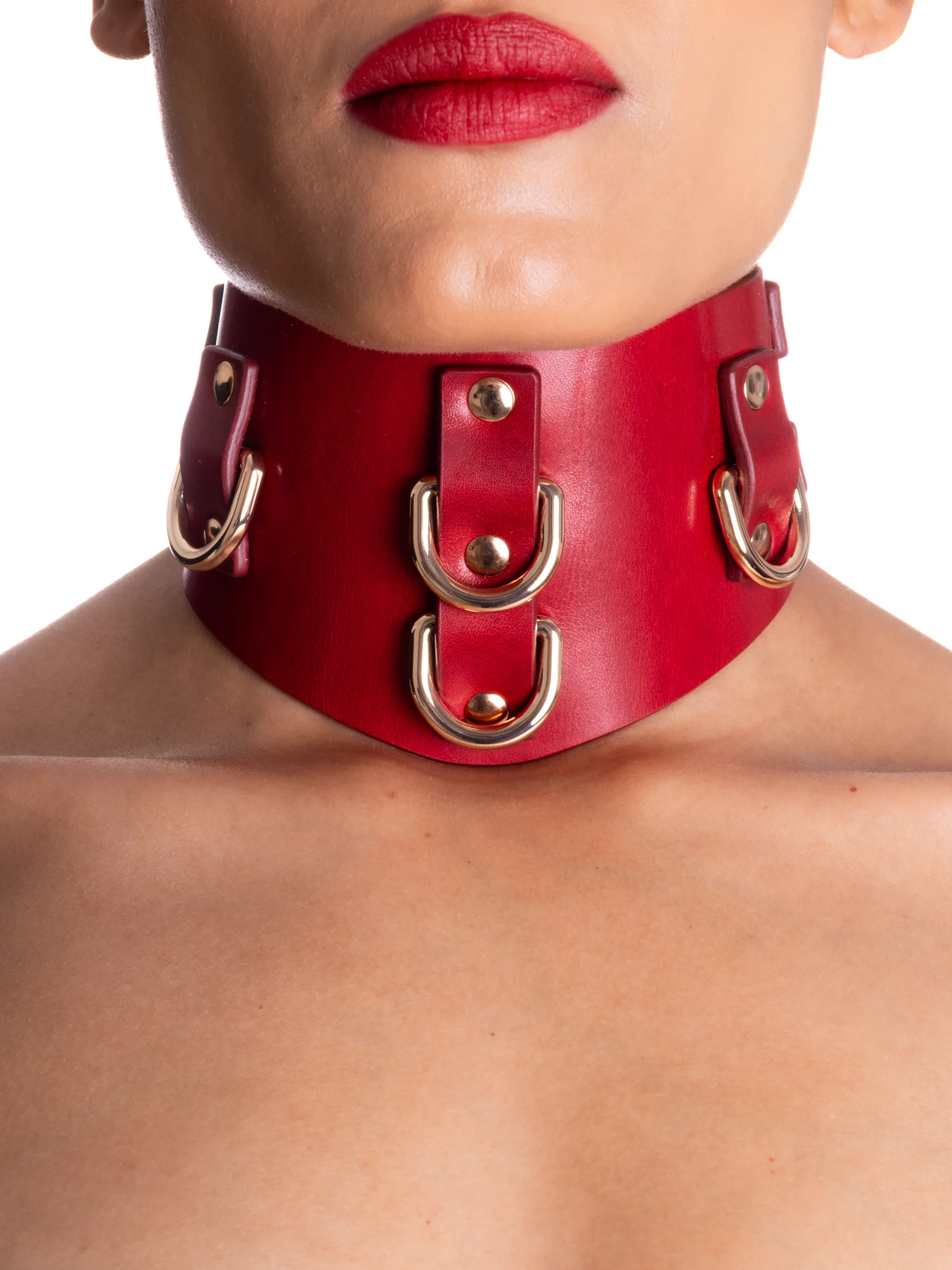 pet-play-collar46423
