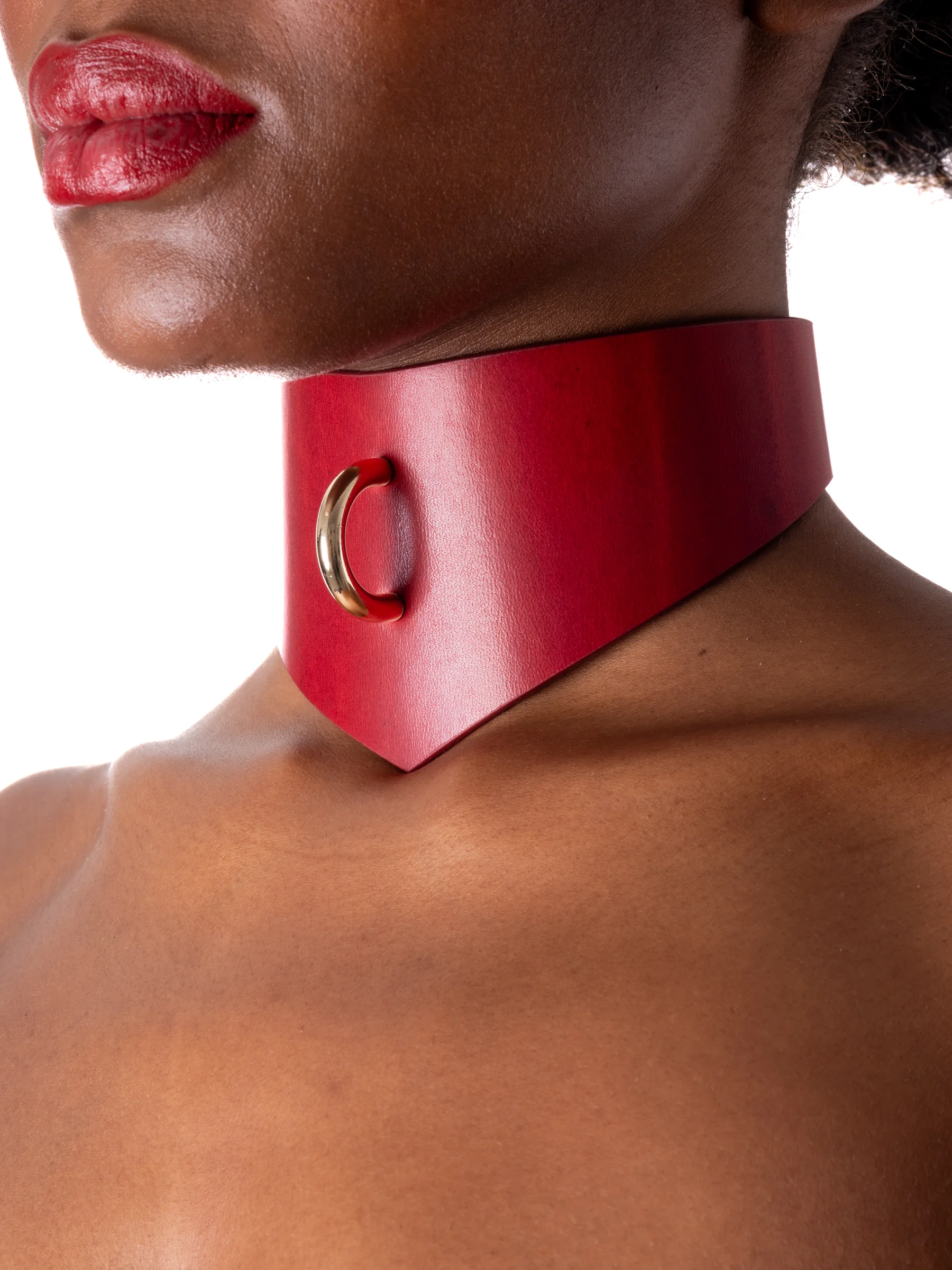 pet-play-collar46431