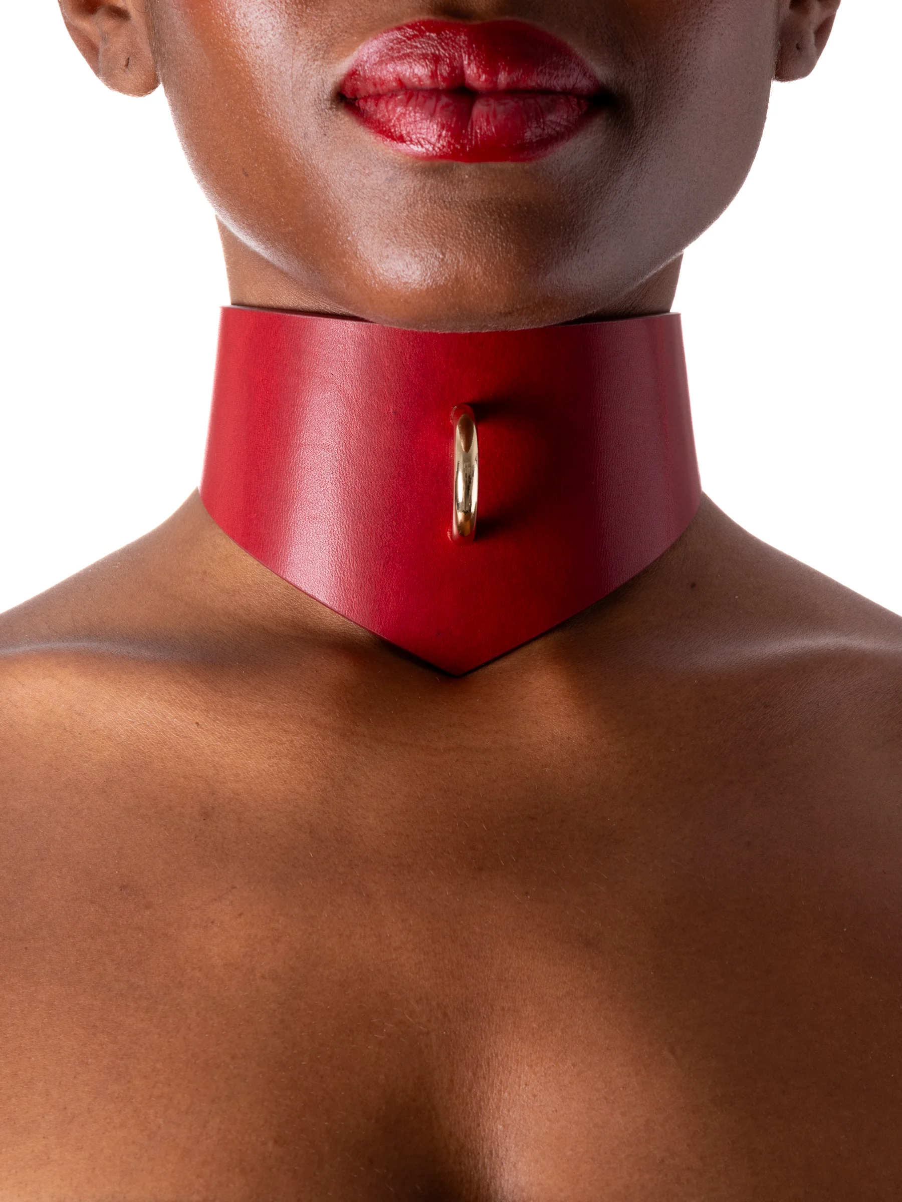 petplay-collar46423